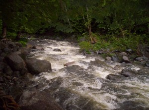 Long Pond Stream just before I turned back from it to return to Long Pond Stream Lean-to