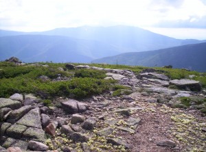 The view from Mount Guyot toward Franconia Ridge