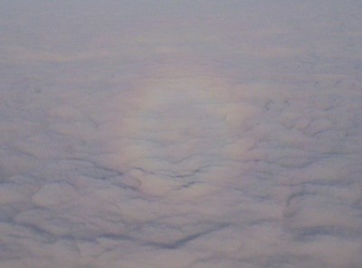 A glory, an optical phenomenon in which a circular rainbow appears on a background of water droplets when the sun is directly behind the observer
