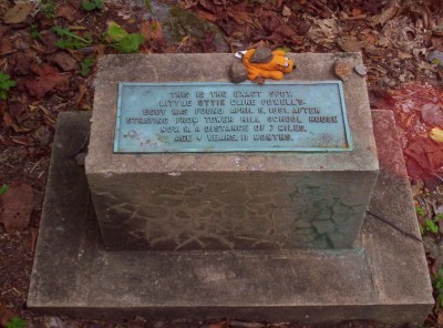 Little Ottie's memorial marker, decorated with a small child's bean-bag animal, atop Bluff Mountain