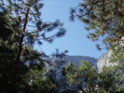 Cliffs along Yosemite Valley through trees