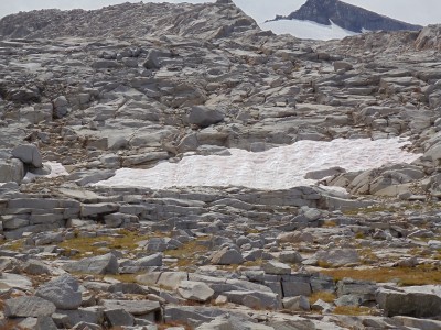 A patch of watermelon-colored snow in Donohue Pass