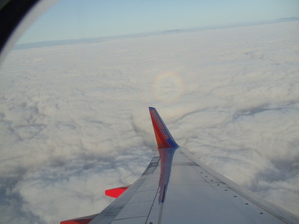 A glory over a plane wing